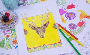 I Created The Adult Coloring Subscription Service Everyone Is Talking About