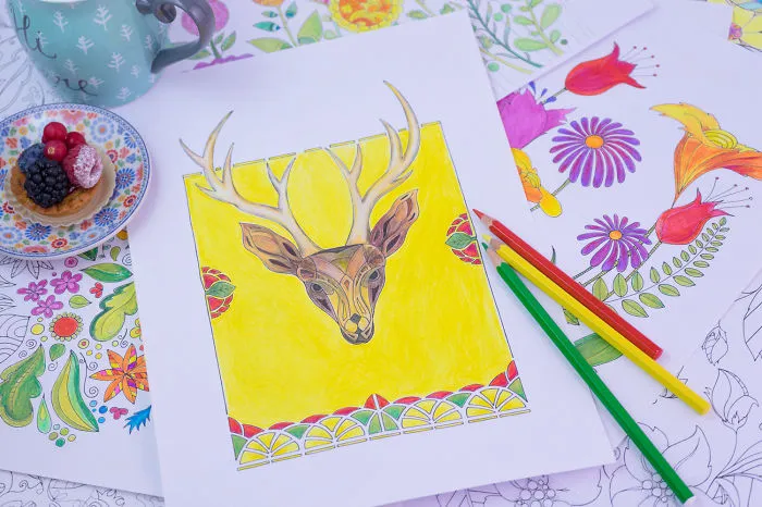 I Created The Adult Coloring Subscription Service Everyone Is Talking About