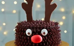 I Found These Amazing Christmas Cakes Today