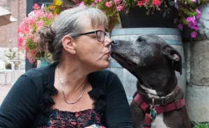 I Photographed Over 200 Families With Rescued Dogs To Inspire Others To Adopt