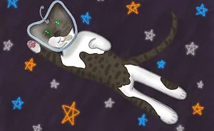 I Send Pets On Illustrated Adventures In Space