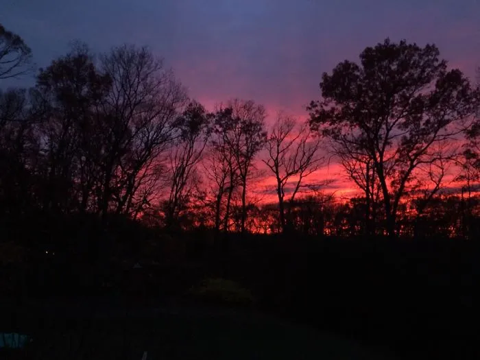 I Took These Pictures Of A Sunset From My Backyard