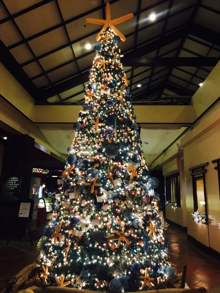 Marine Biologists' Christmas Tree