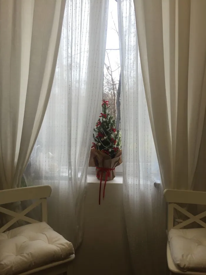 The Smallest Tree With The Smallest Flowers:)