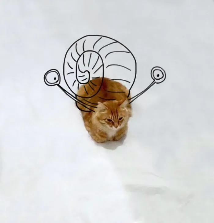 I Am A Snail