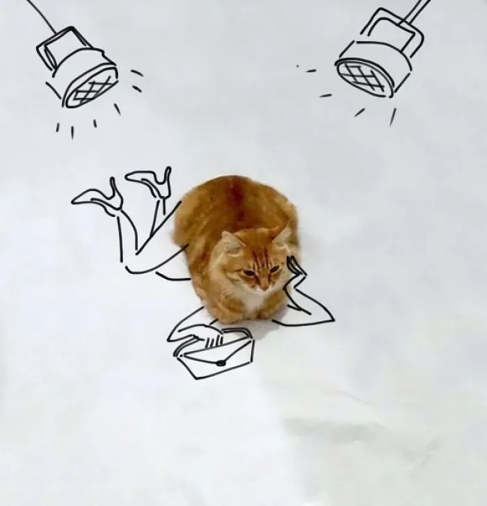 I Am A Supermodel