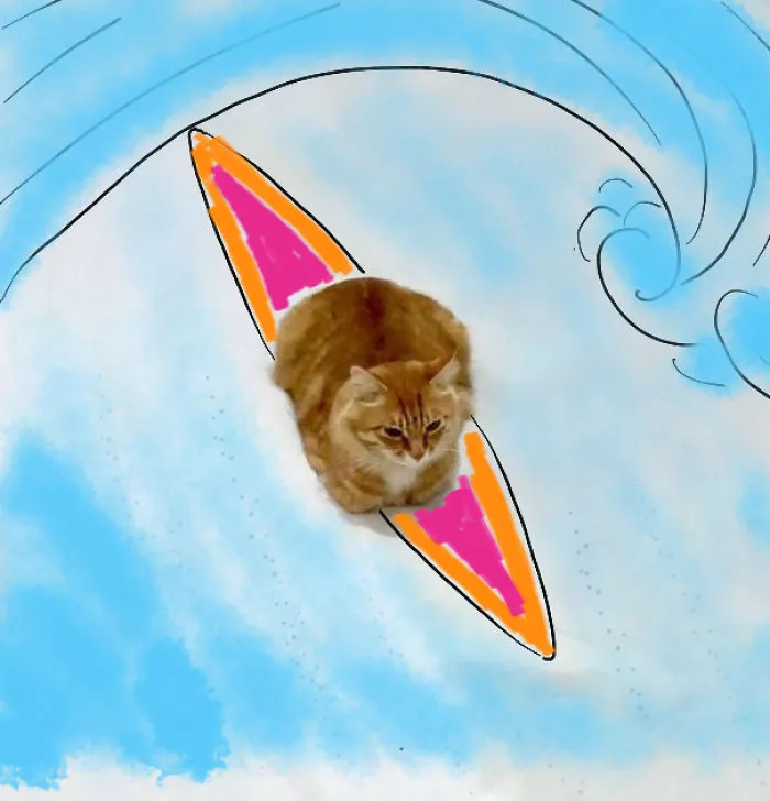Hang 9 Lives