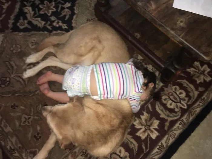129 Heartwarming Photos Proving That Your Kids Need A Pet