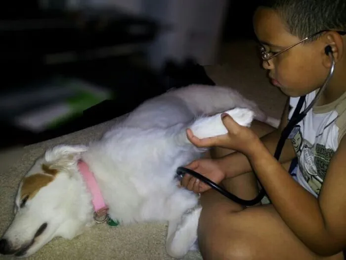 129 Heartwarming Photos Proving That Your Kids Need A Pet