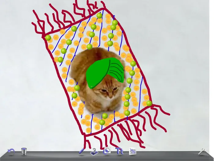Flying Karpet Kitty