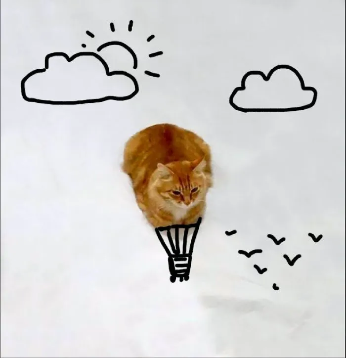 Balloon Cat