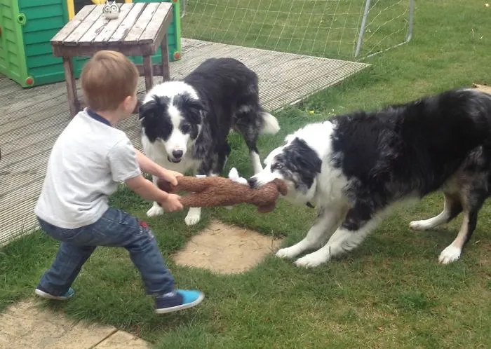 129 Heartwarming Photos Proving That Your Kids Need A Pet