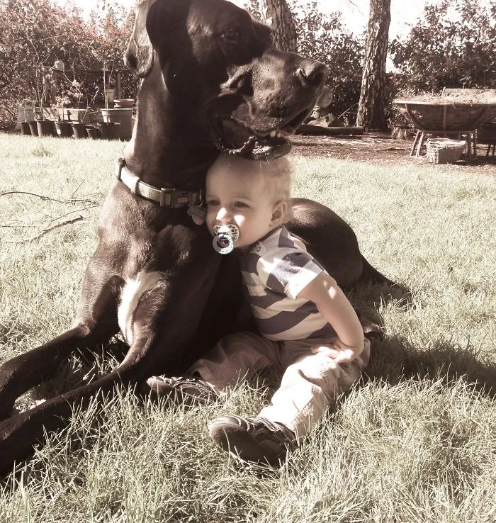 129 Heartwarming Photos Proving That Your Kids Need A Pet