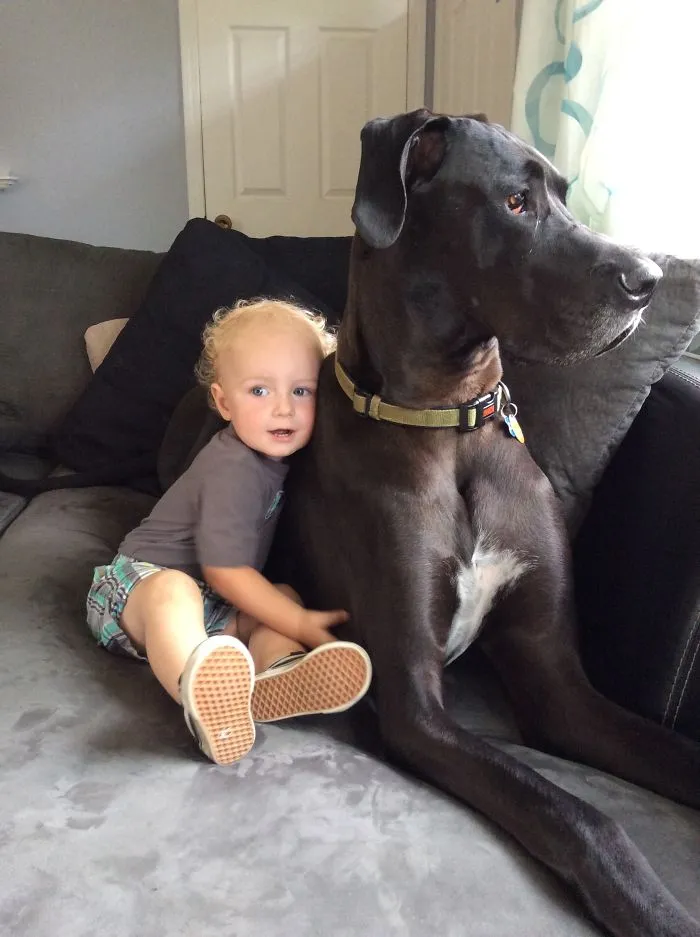 129 Heartwarming Photos Proving That Your Kids Need A Pet
