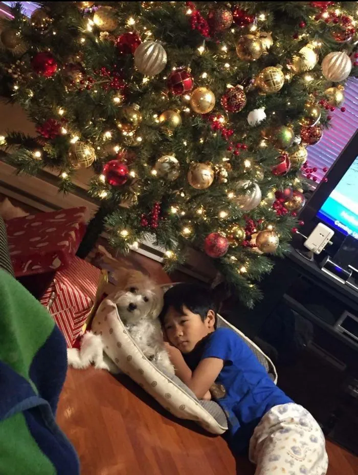 129 Heartwarming Photos Proving That Your Kids Need A Pet