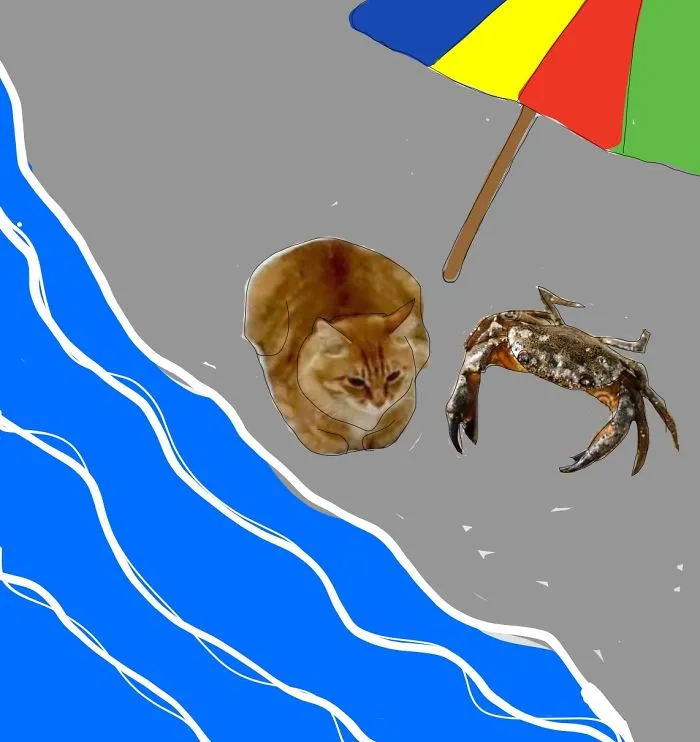 A Day At The Beach With Carl