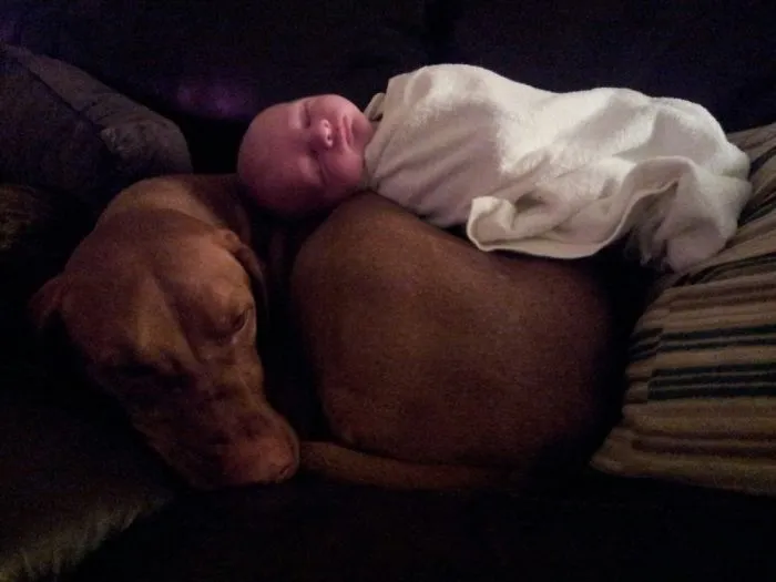 129 Heartwarming Photos Proving That Your Kids Need A Pet