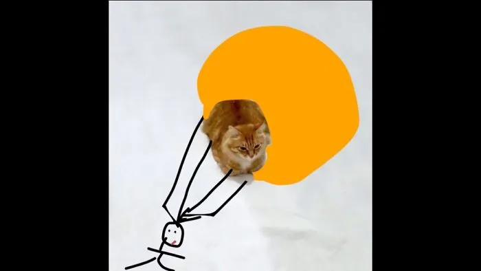 Skydiving