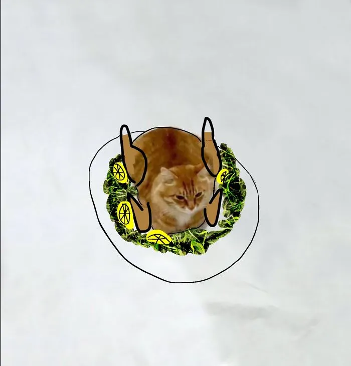 #25 Turkey Cat