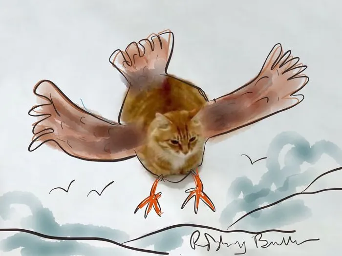 Flying High