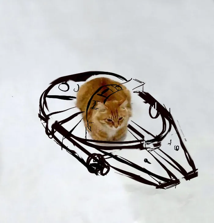 Chewbacca The Kitty