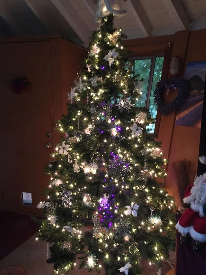 Tree With White Poinsettias