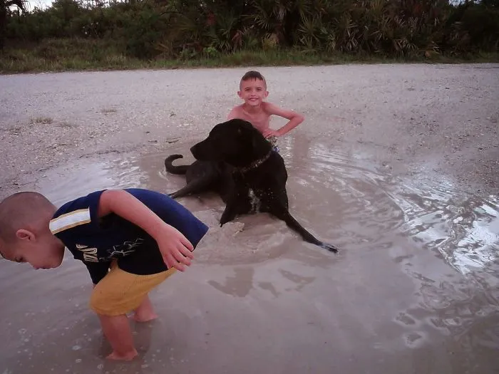 129 Heartwarming Photos Proving That Your Kids Need A Pet