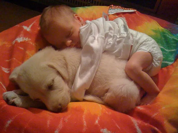 129 Heartwarming Photos Proving That Your Kids Need A Pet