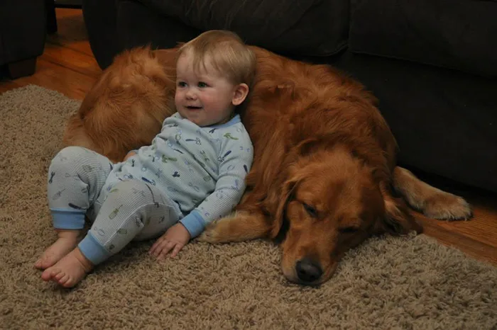 129 Heartwarming Photos Proving That Your Kids Need A Pet