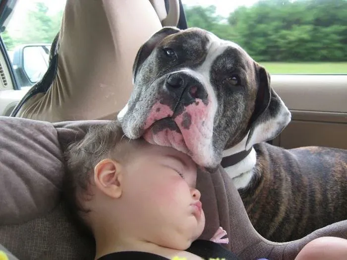 129 Heartwarming Photos Proving That Your Kids Need A Pet
