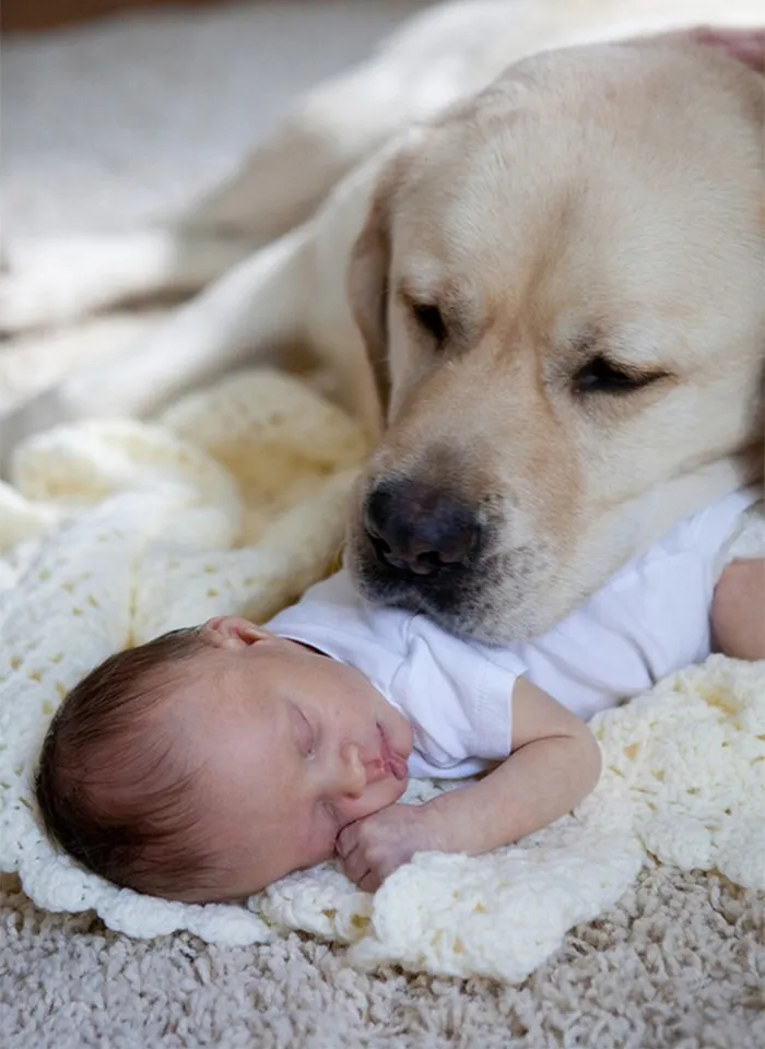 129 Heartwarming Photos Proving That Your Kids Need A Pet