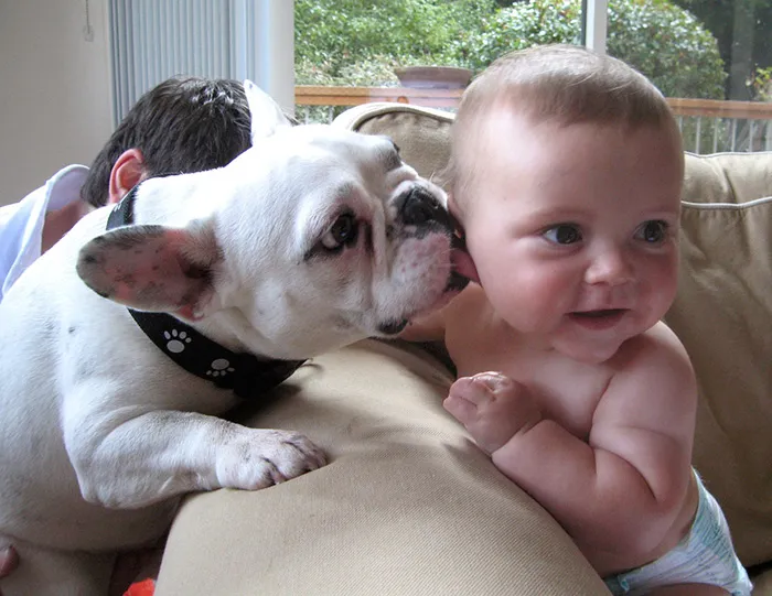 129 Heartwarming Photos Proving That Your Kids Need A Pet