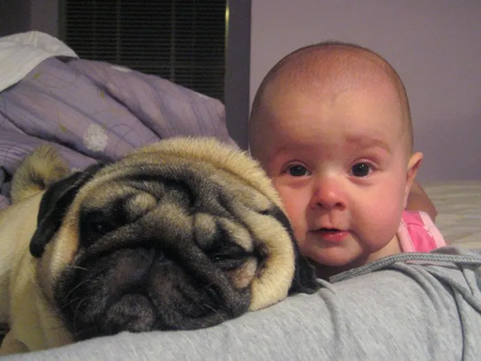 129 Heartwarming Photos Proving That Your Kids Need A Pet