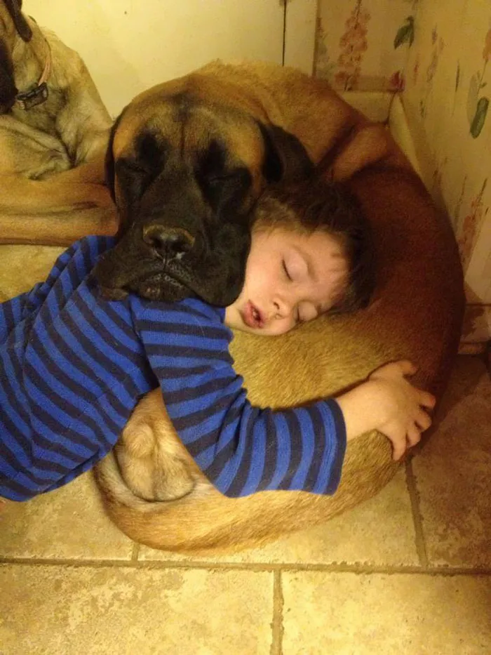 129 Heartwarming Photos Proving That Your Kids Need A Pet