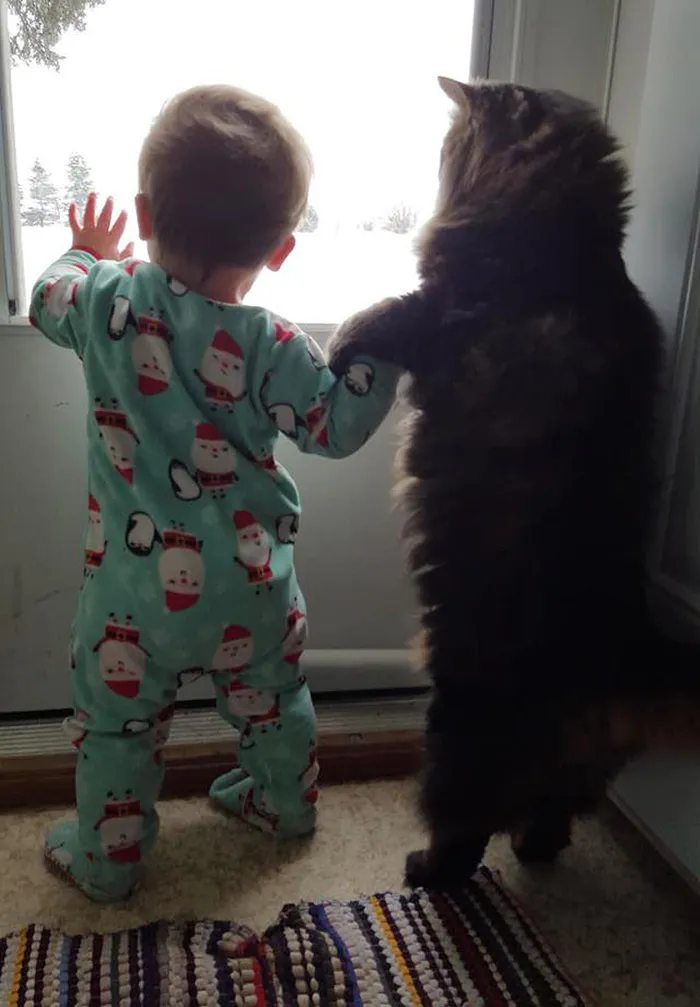 129 Heartwarming Photos Proving That Your Kids Need A Pet
