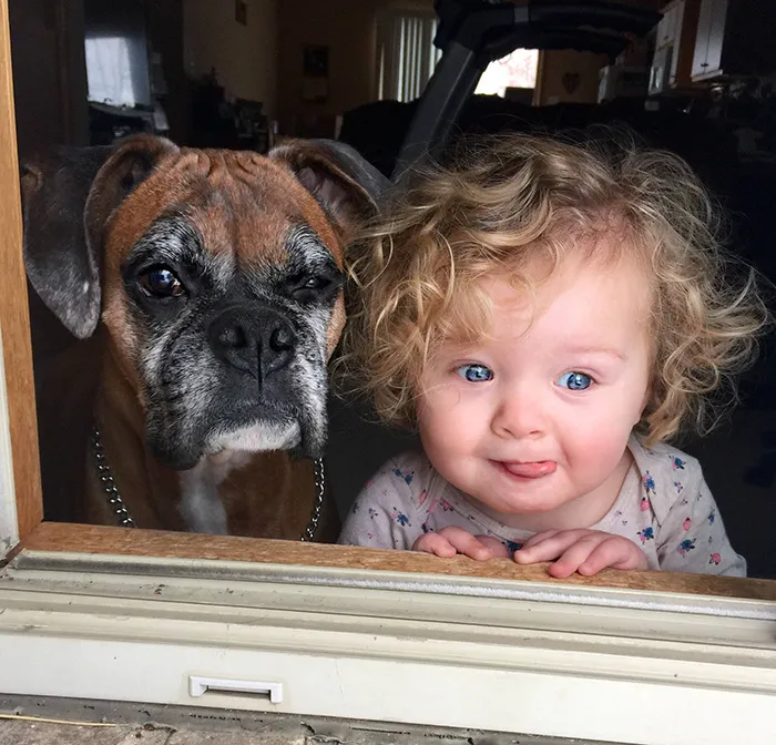 129 Heartwarming Photos Proving That Your Kids Need A Pet