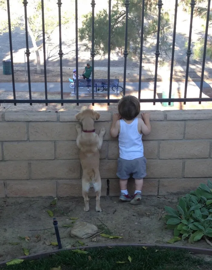 129 Heartwarming Photos Proving That Your Kids Need A Pet