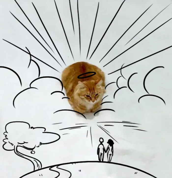 The Creation