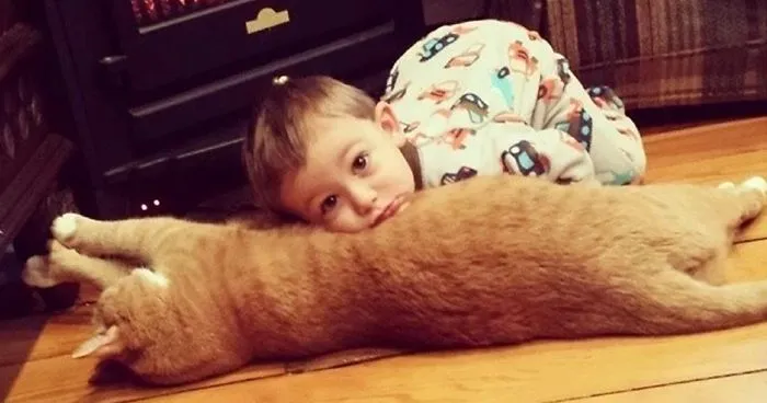 Unwanted Cat Becomes This Little Boy's Guardian, Following Him Everywhere