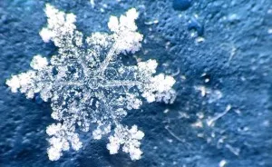 Magic Of Snow: I Try To Capture A Perfect Snowflake