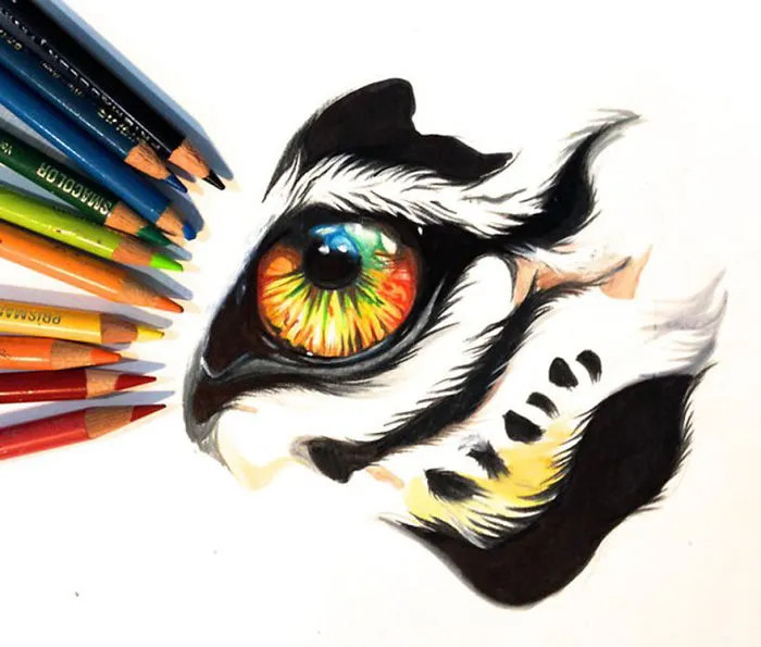 Wild Animal Spirits In Pencil And Marker Illustrations By Katy Lipscomb (Interview)