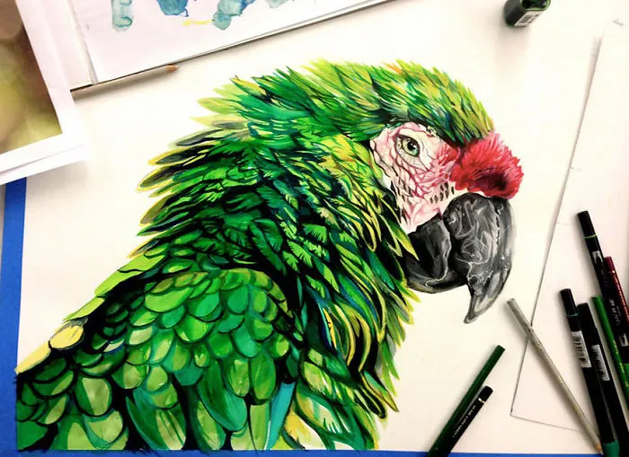 Wild Animal Spirits In Pencil And Marker Illustrations By Katy Lipscomb (Interview)