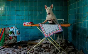 My Dog And I Explore Abandoned Places Across Europe