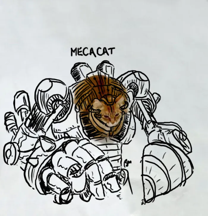 Mecacat