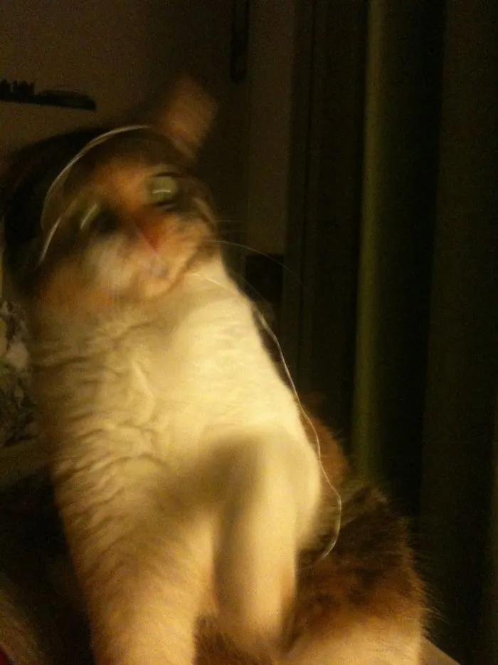 Dizzy