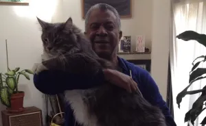 My 26-Pound Main Coon Owns My Heart