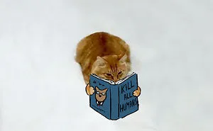 Challenge: Doodle This Cat Photo To Give Him New Adventures (261 Pics)