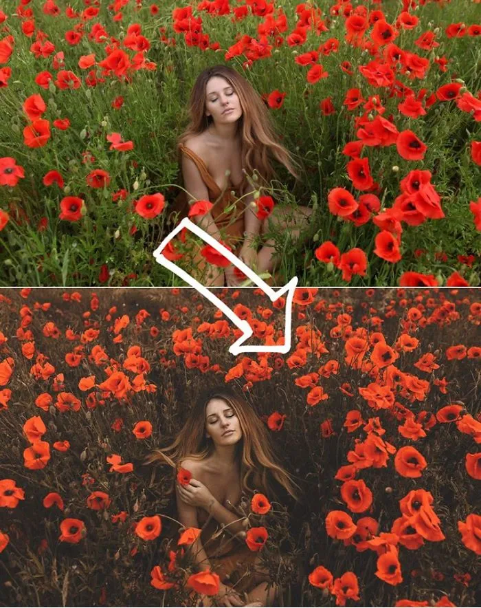 My Friend Is A Photographer And Does Amazing Edits, I Thought Maybe You Would Enjoy Them Too.