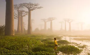 National Geographic's Top 20 Photos Of 2015