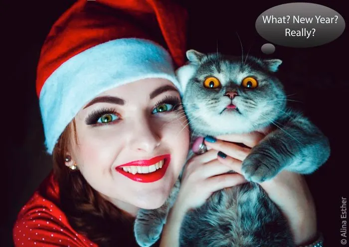 New Year's Greetings From Melissa The Einstein Cat